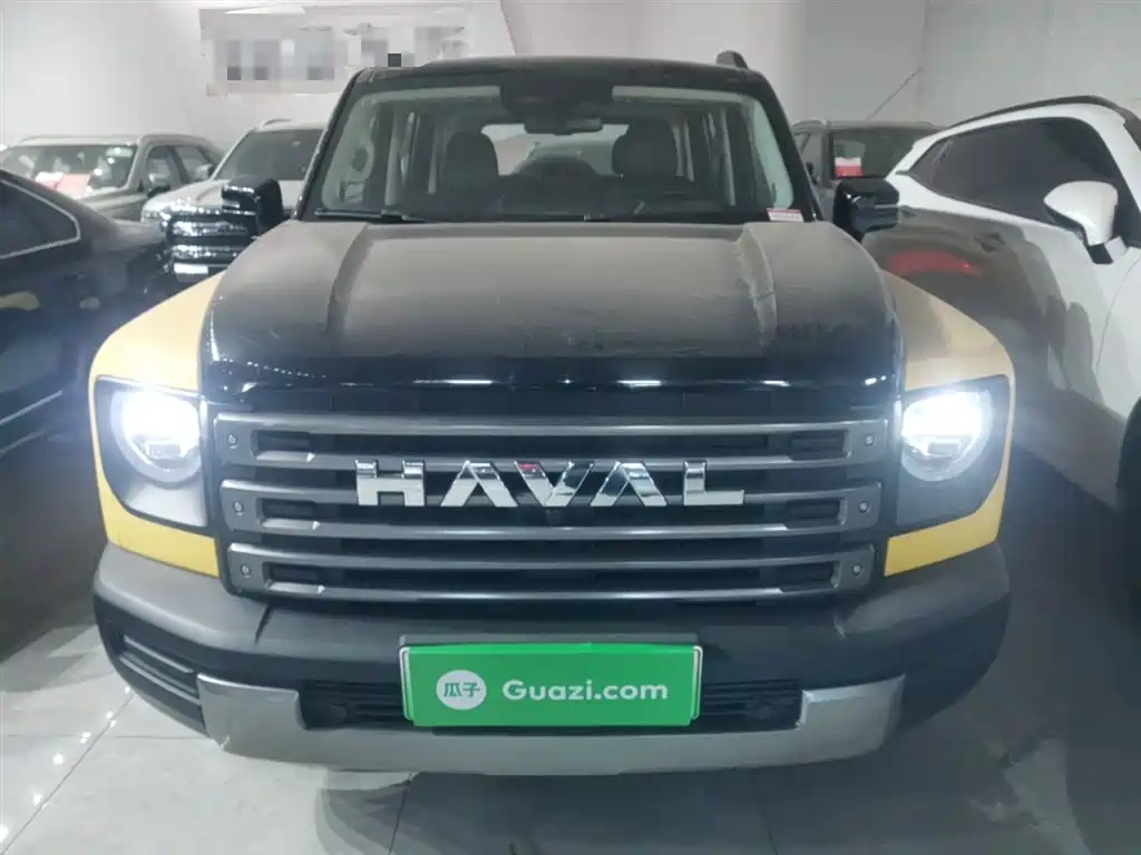 HAVAL RAPTORS NEW ENERGY