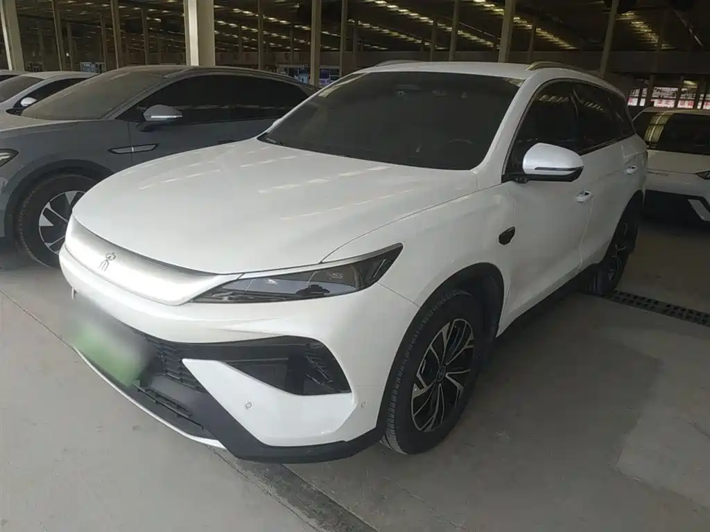 Byd Pro New Energy 2025