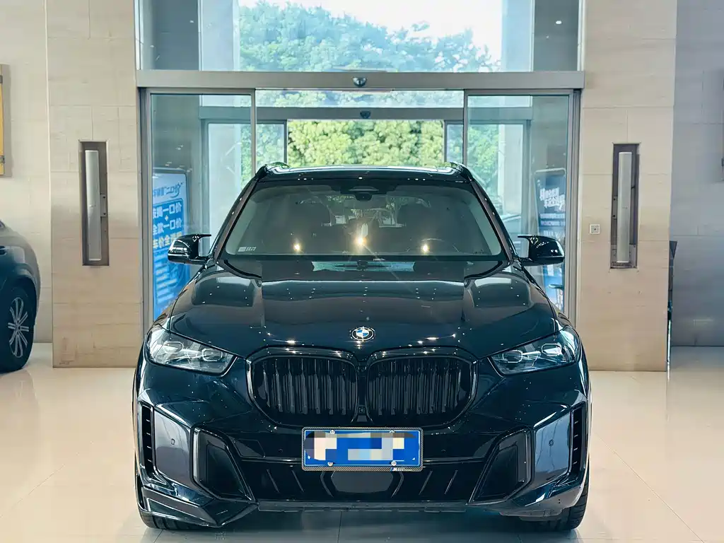 BMW X5 — миниатюра 3