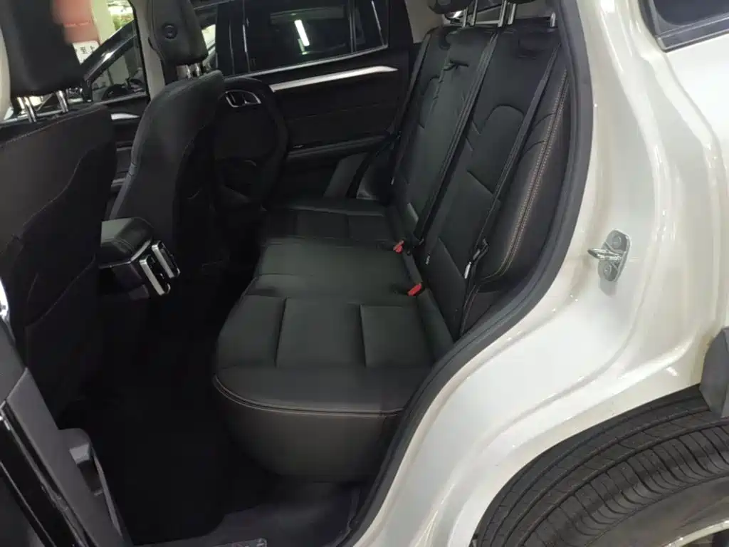 Haval 长城大狗 — миниатюра 17
