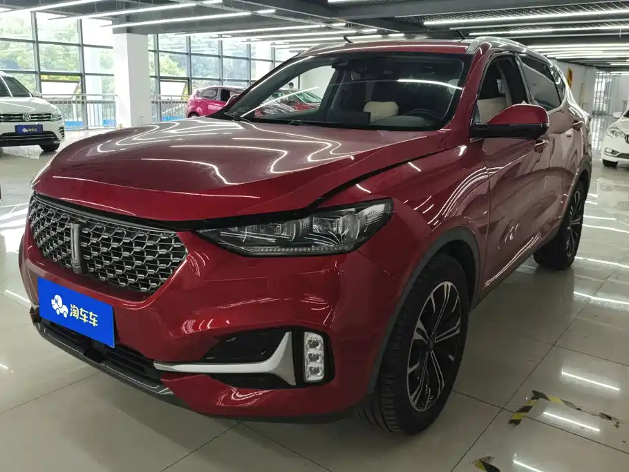 Wey Wey VV6