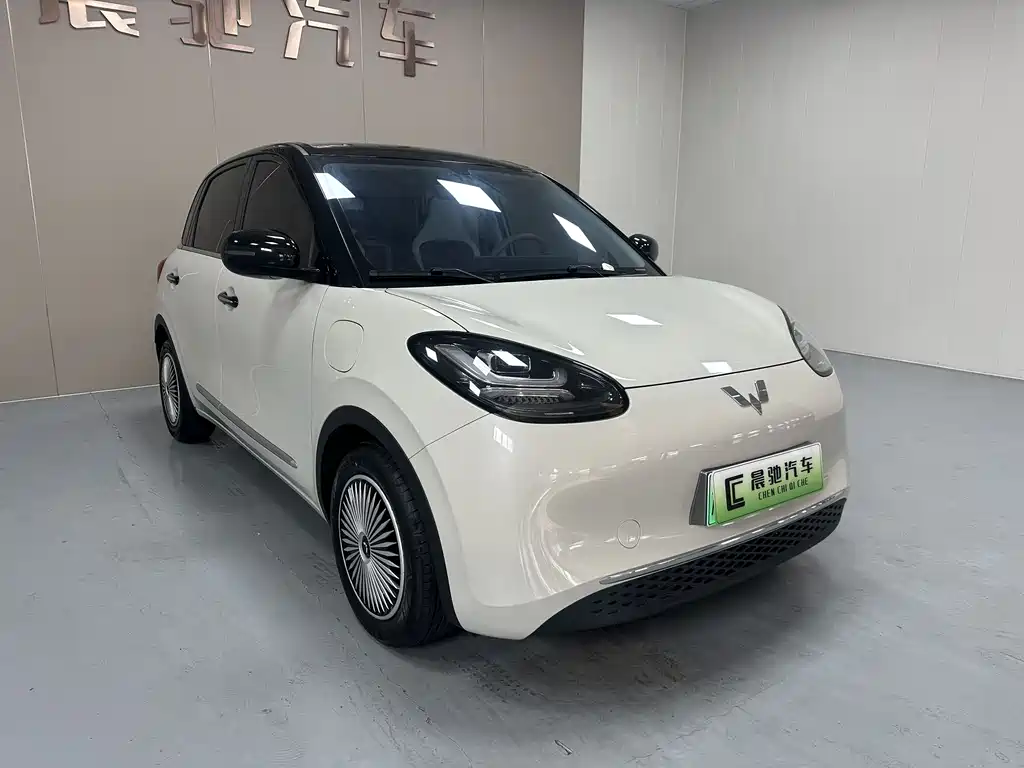 Wuling Binguo 2025 333km