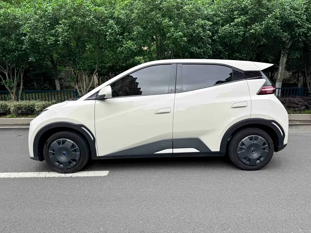 BYD Seagull 2024 305km