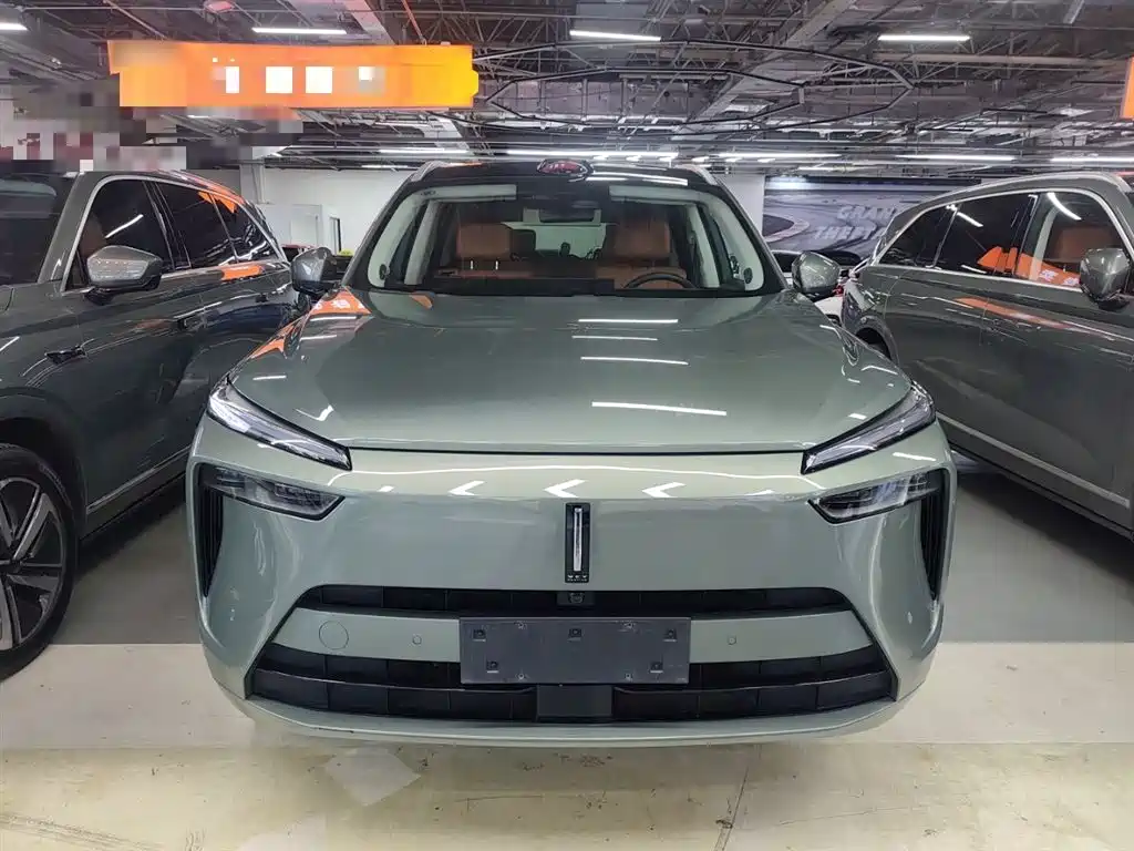 WEI PAI WEI BRAND BLUE MOUNTAIN