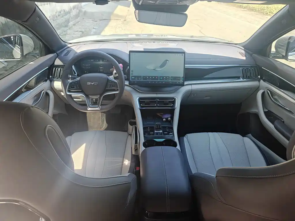 BYD PLUS New Energy — миниатюра 9