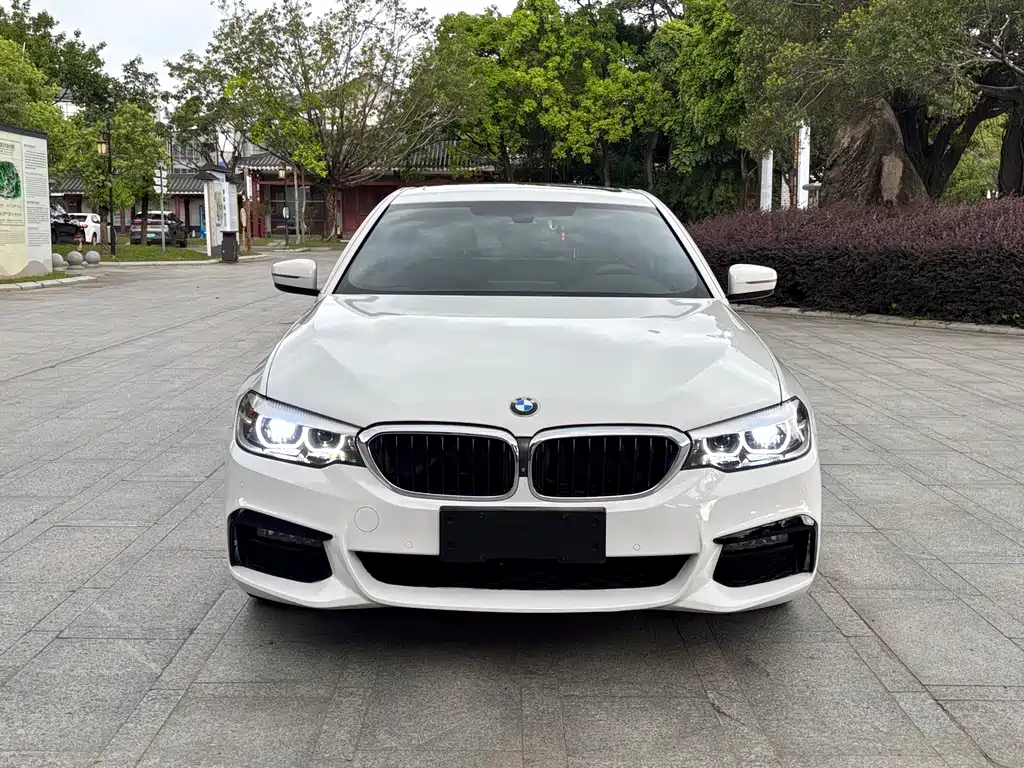 BMW 5 Series 5 2019 525i M Sport