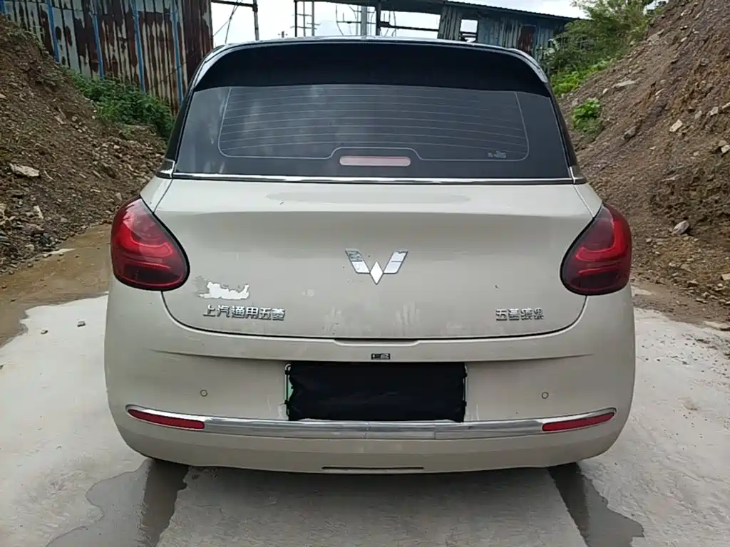 Wuling Binguo 2023 333km +