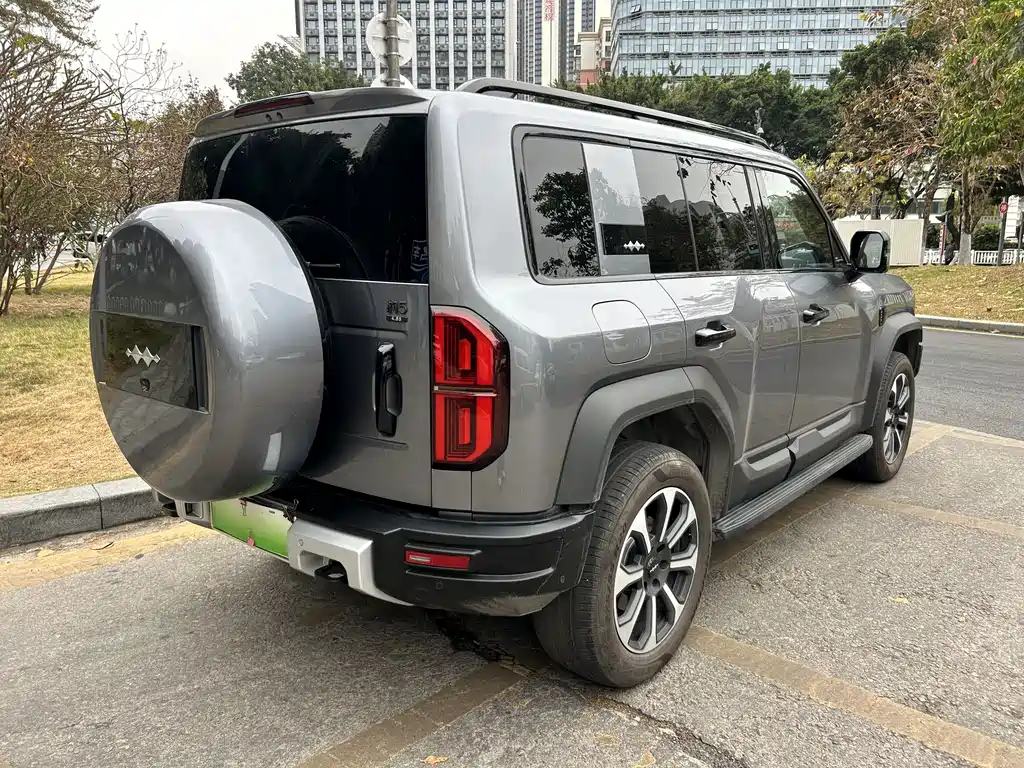 FANG CHENG BAO LEOPARD 5