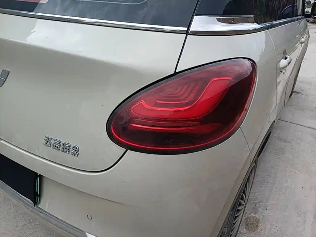Wuling Binguo 2023 333km +