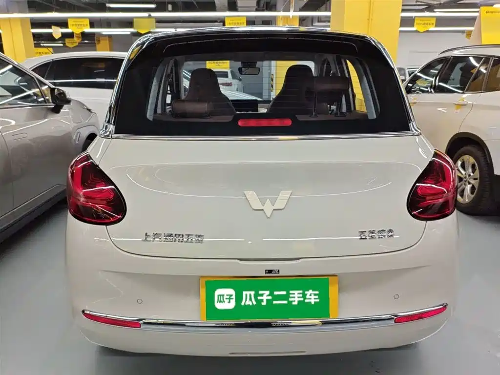 Wuling Binguo 2023 333km +