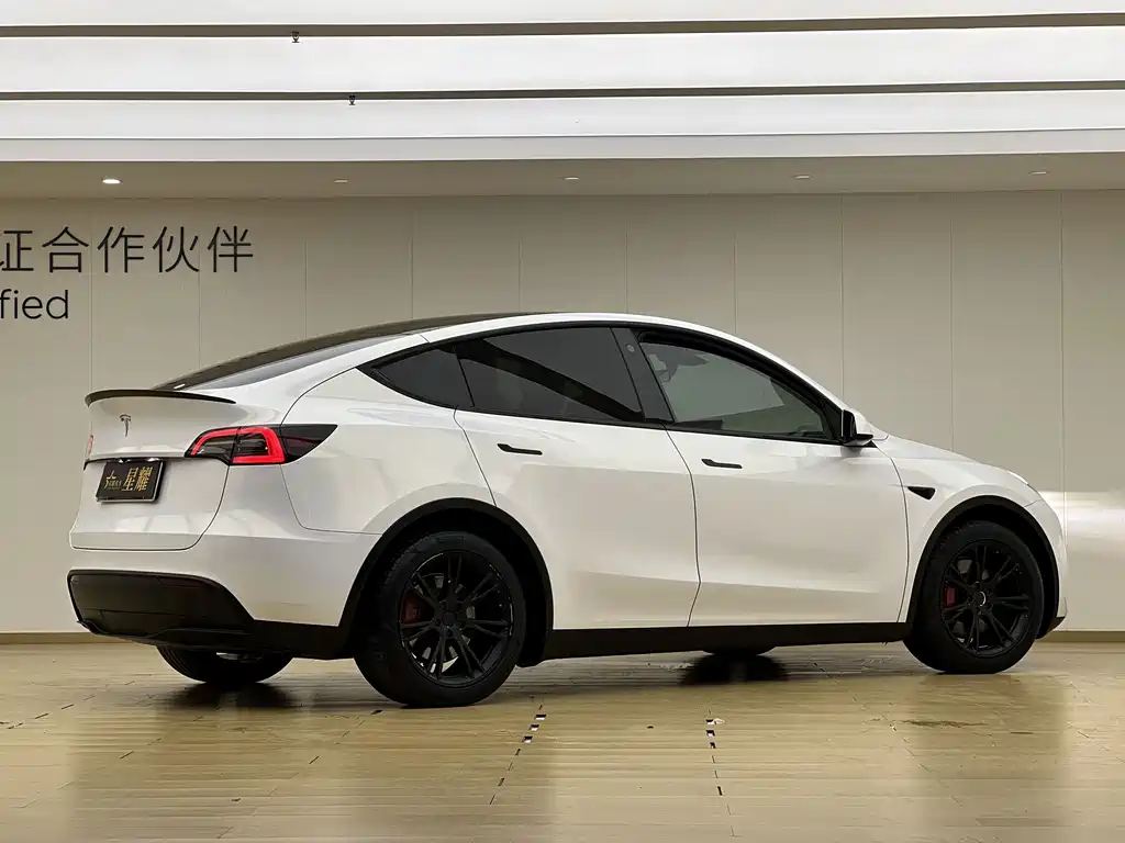 Tesla Model Y — миниатюра 20