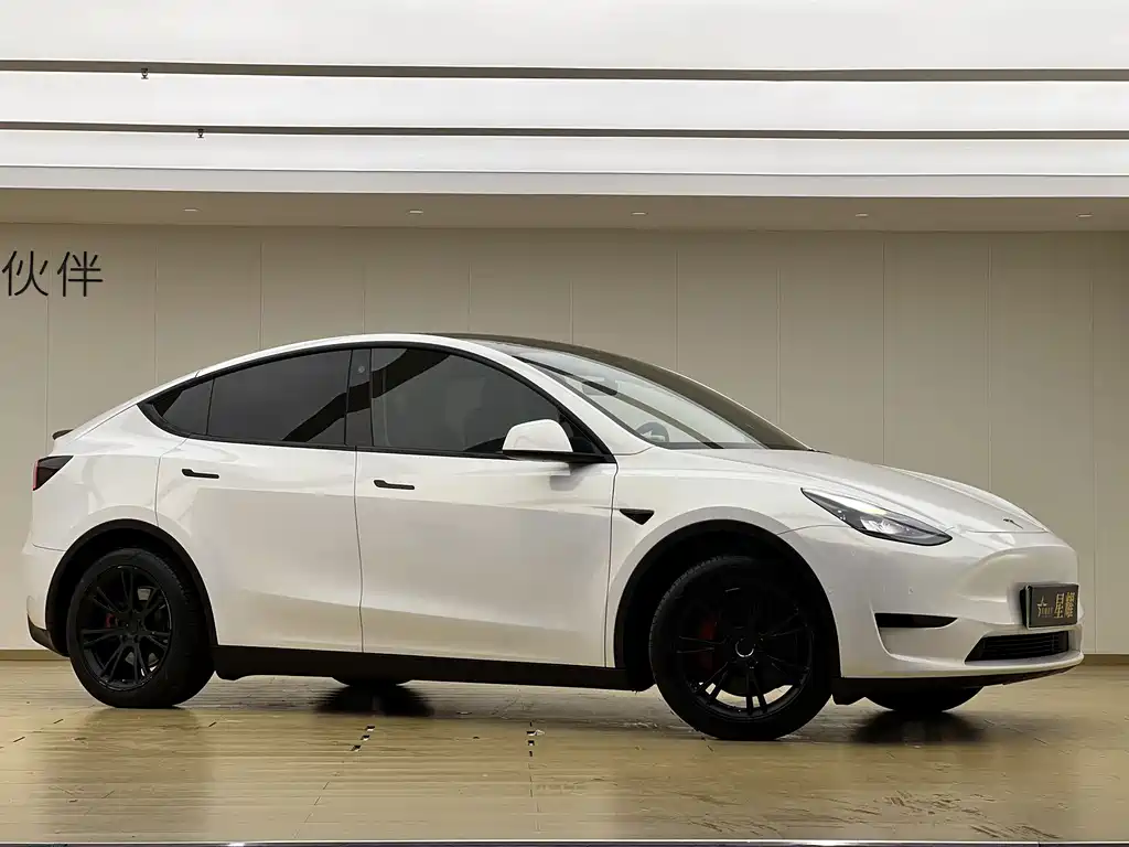 Tesla Model Y — миниатюра 3