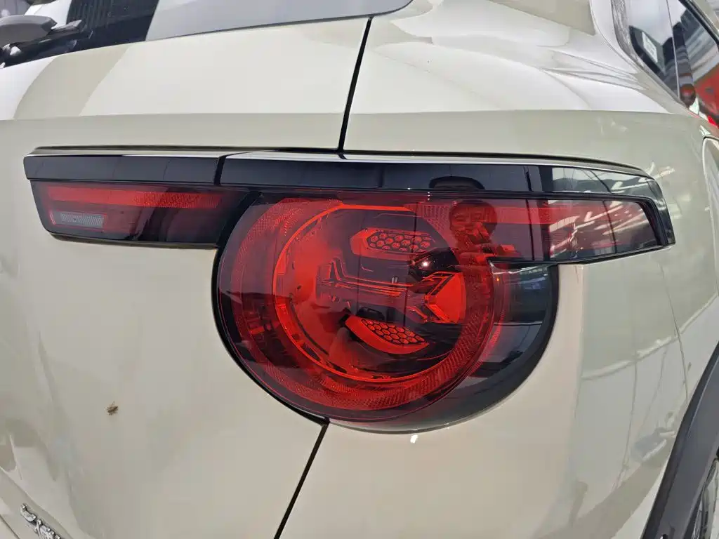 Haval Big Dog PLUS New Energy — миниатюра 8