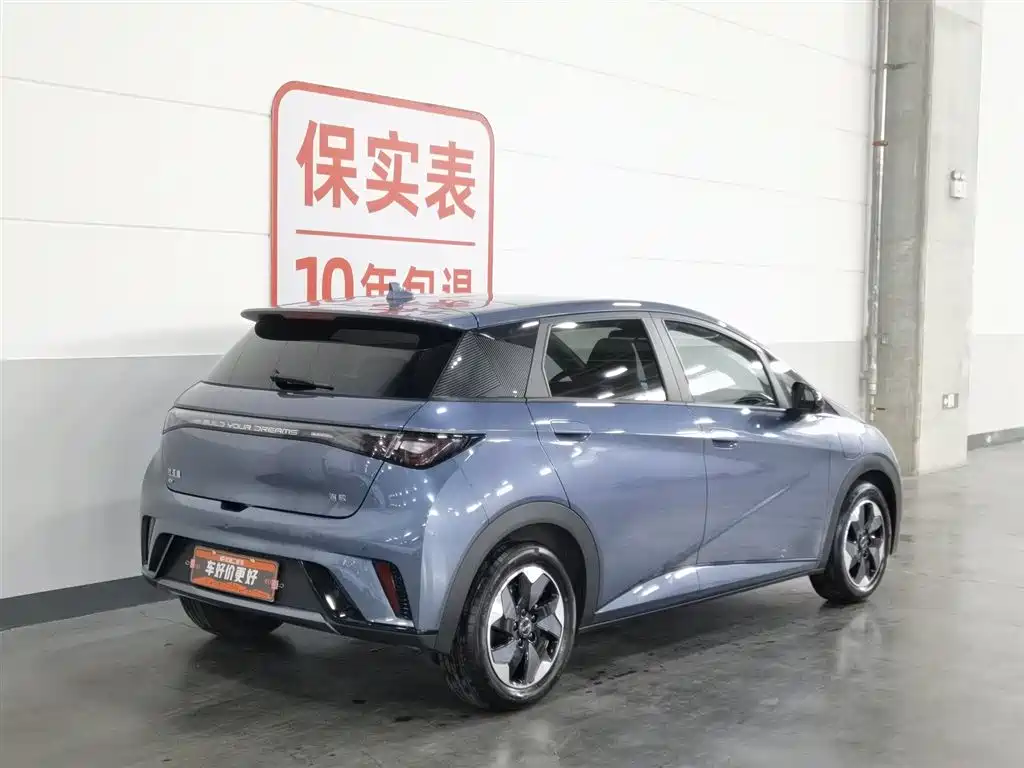 BYD Dolphin 2025 420km Fashion