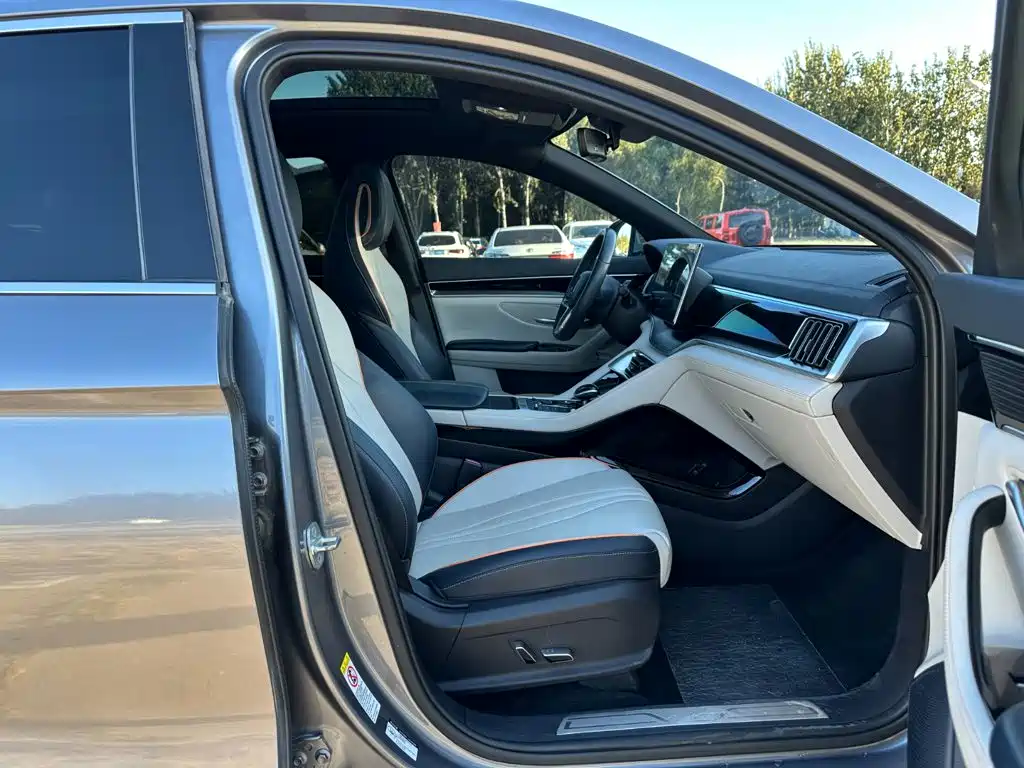 BYD PLUS New Energy — миниатюра 16