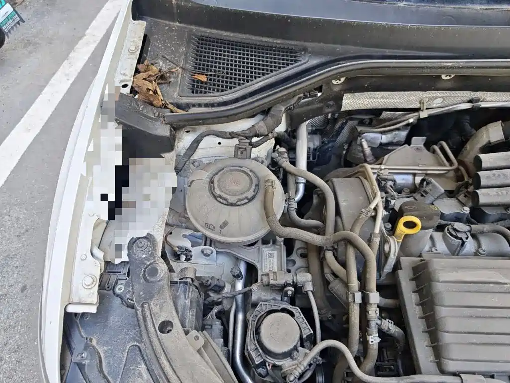 Volkswagen T-Roc — миниатюра 20