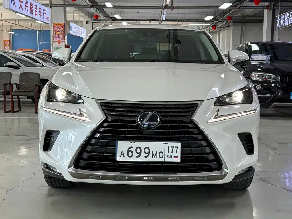 Lexus NX — миниатюра 2