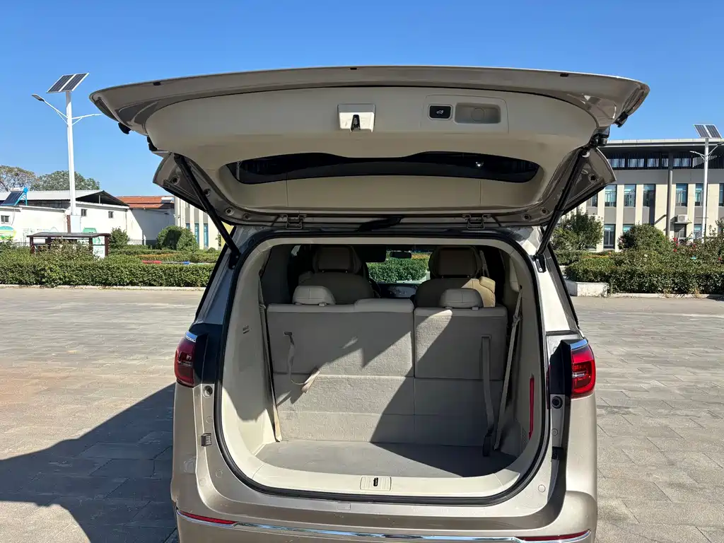 Buick GL8 — миниатюра 12