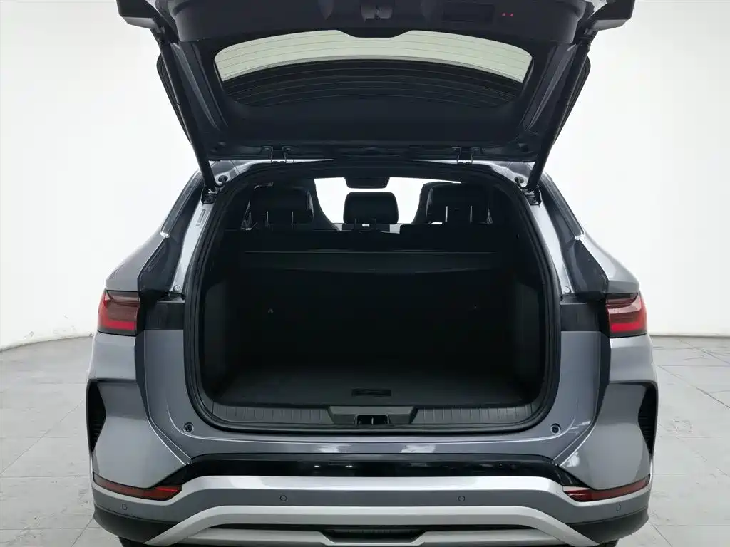 BYD SONGJIANG NEW ENERGY