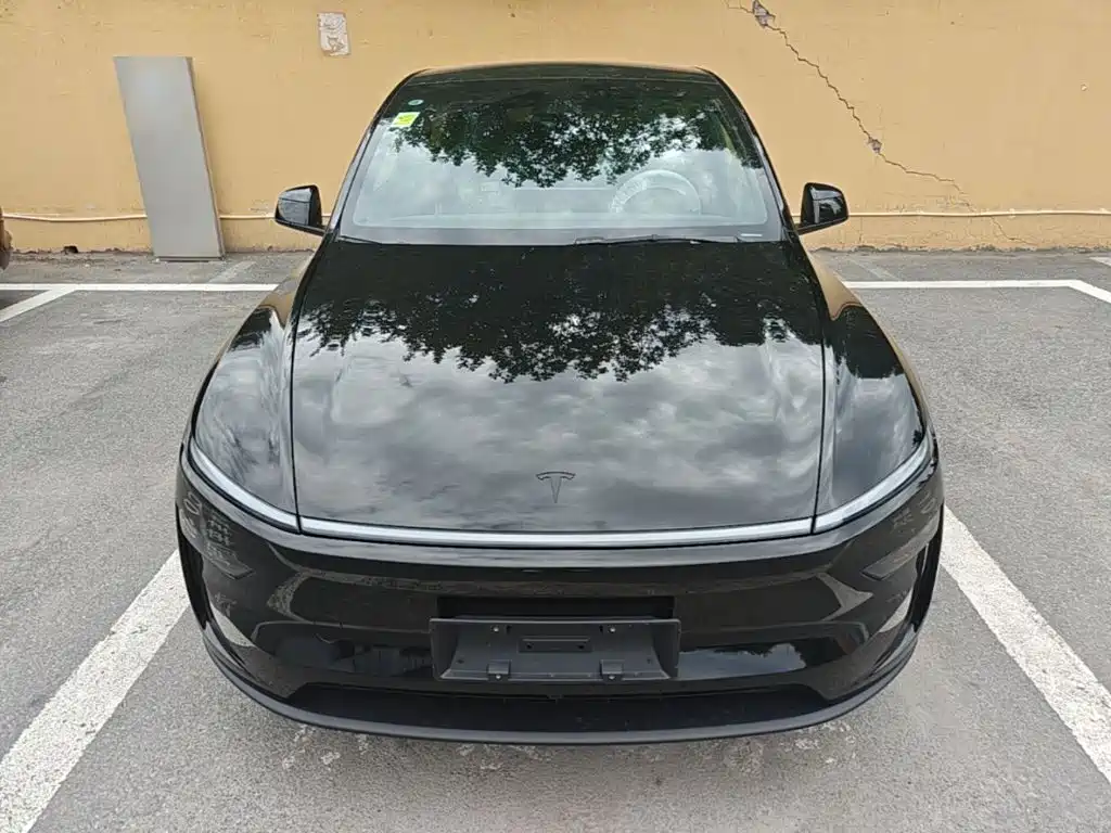 Tesla Model Y — миниатюра 3