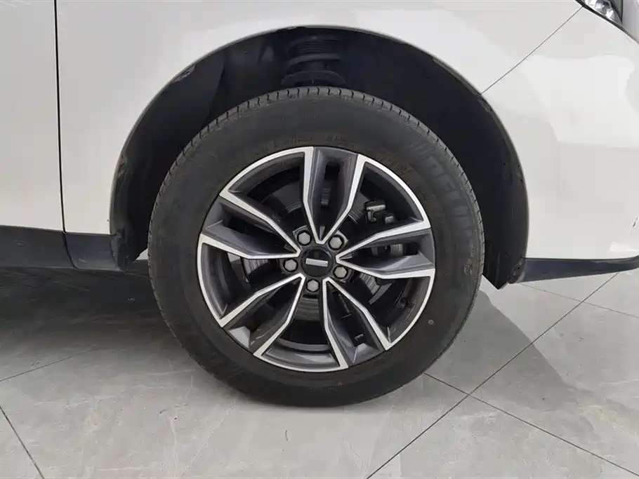 WEI PAI WEI BRAND VV5