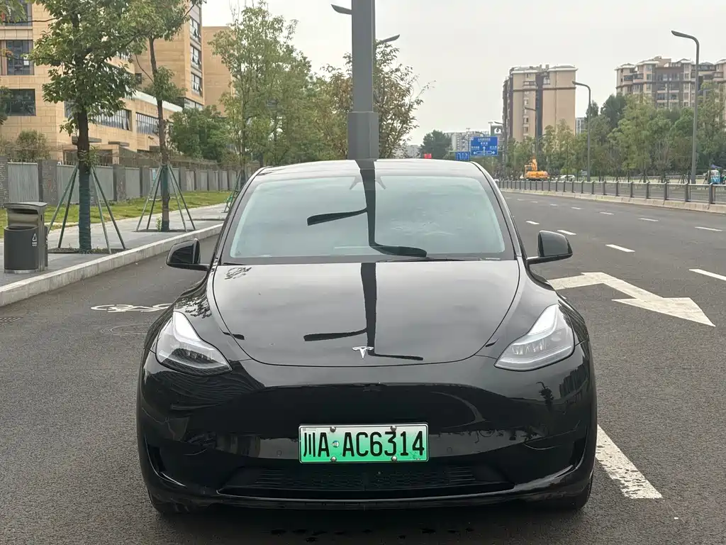 Tesla Model Y — миниатюра 2