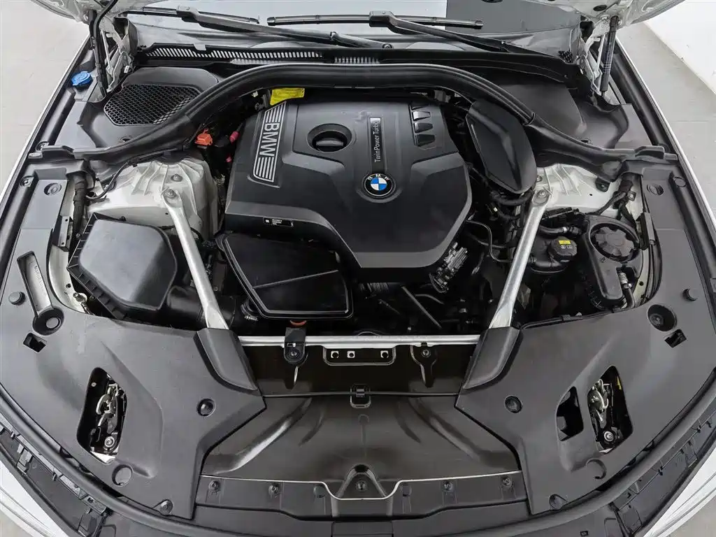 BMW 5 Series 5 2020 530Li Lead Luxury