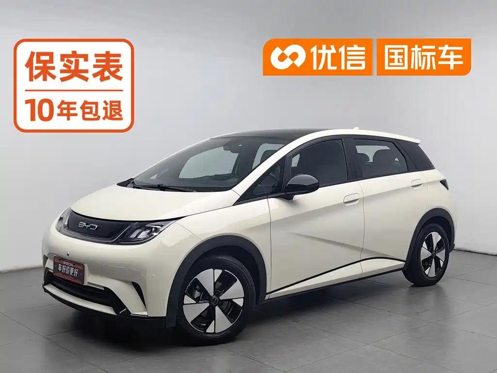 BYD Dolphin