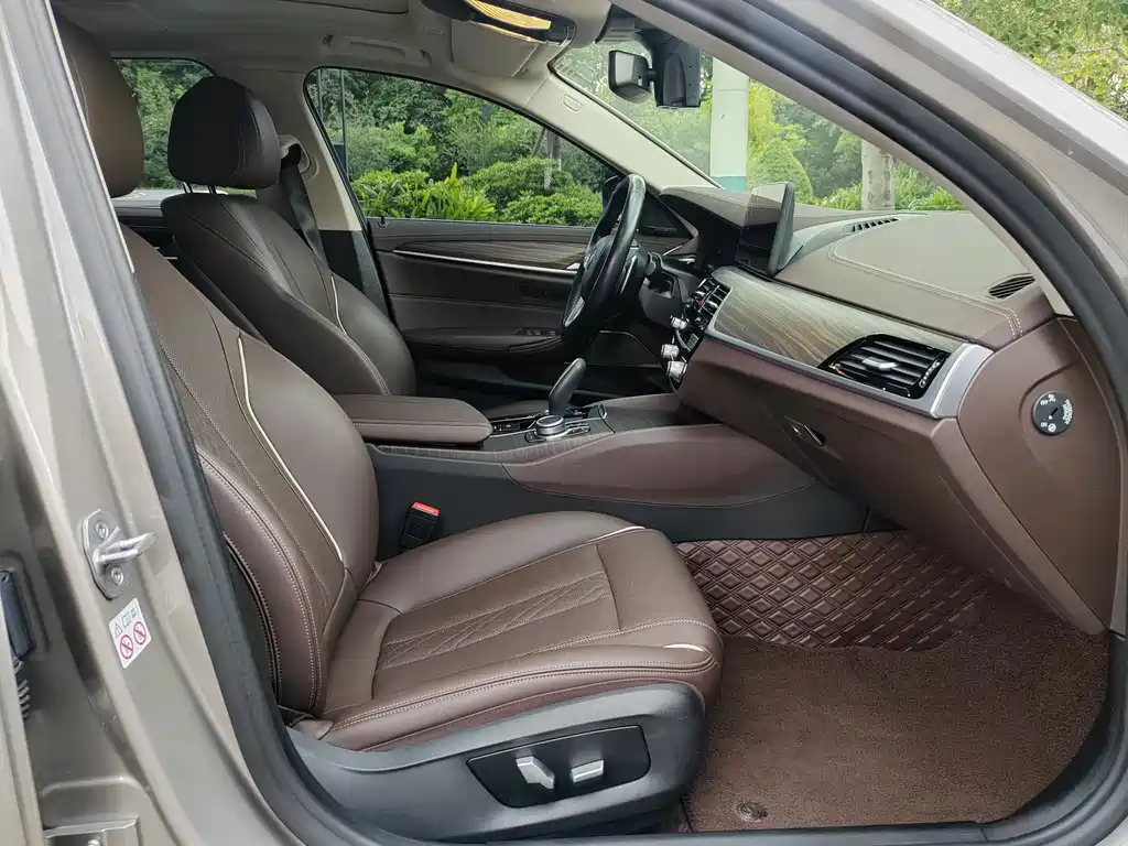 BMW 5 Series 5 2022 530Li Lead Luxury