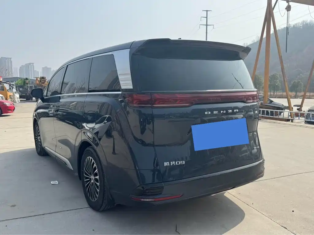 DENZA D9