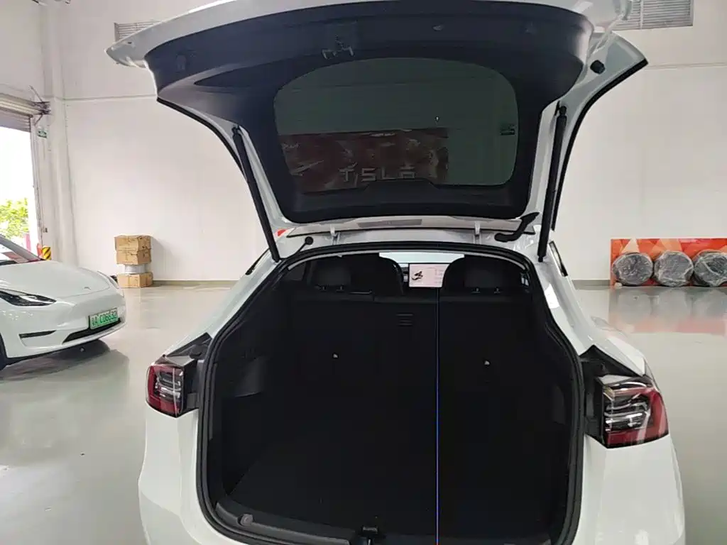 Tesla Model Y — миниатюра 19