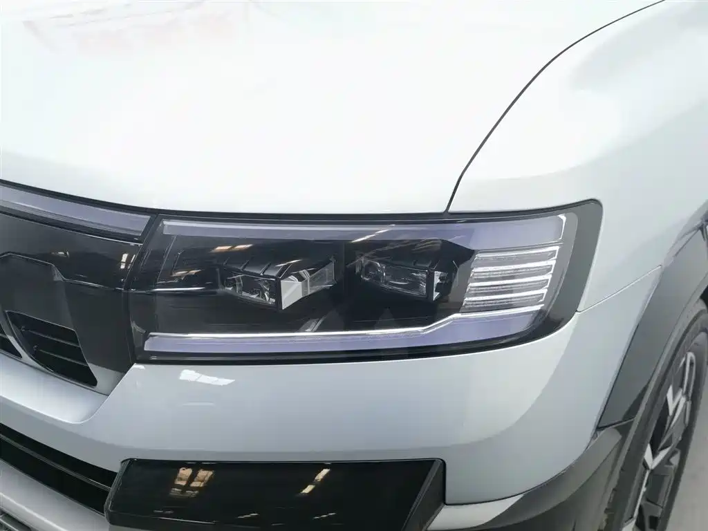 FANG CHENG BAO LEOPARD 8