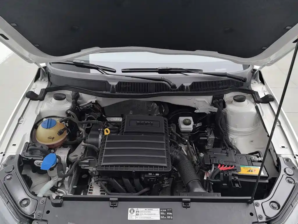 Volkswagen Gran Lavida — миниатюра 6