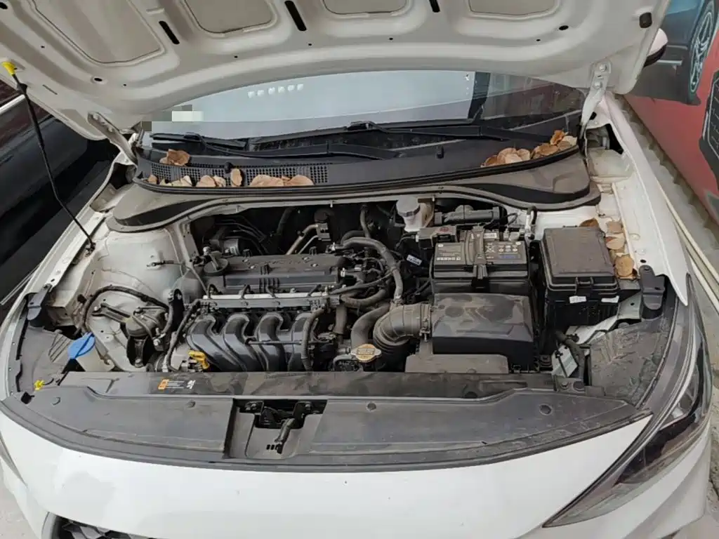 Hyundai Elantra — миниатюра 20