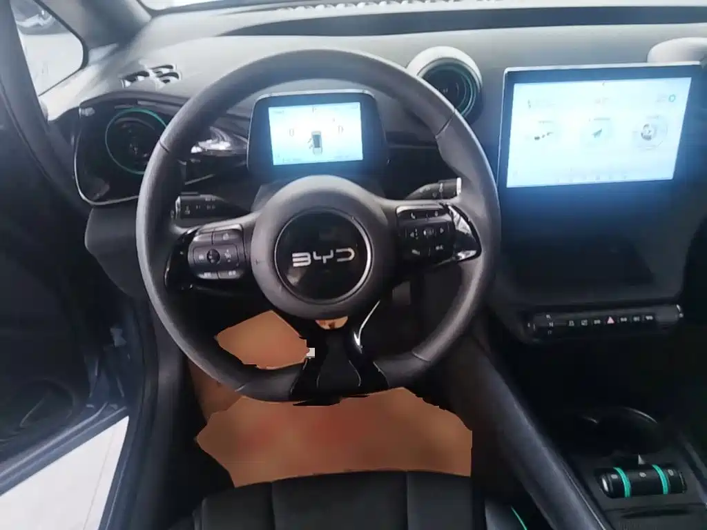 BYD Dolphin — миниатюра 15