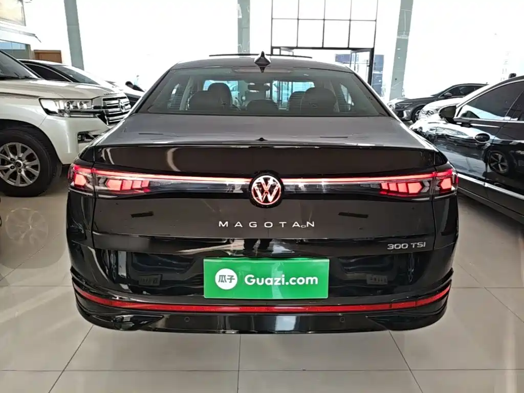 Volkswagen Magotan — миниатюра 6