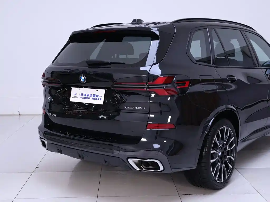 BMW X5 — миниатюра 8
