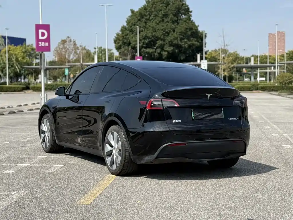 Tesla Model Y — миниатюра 8