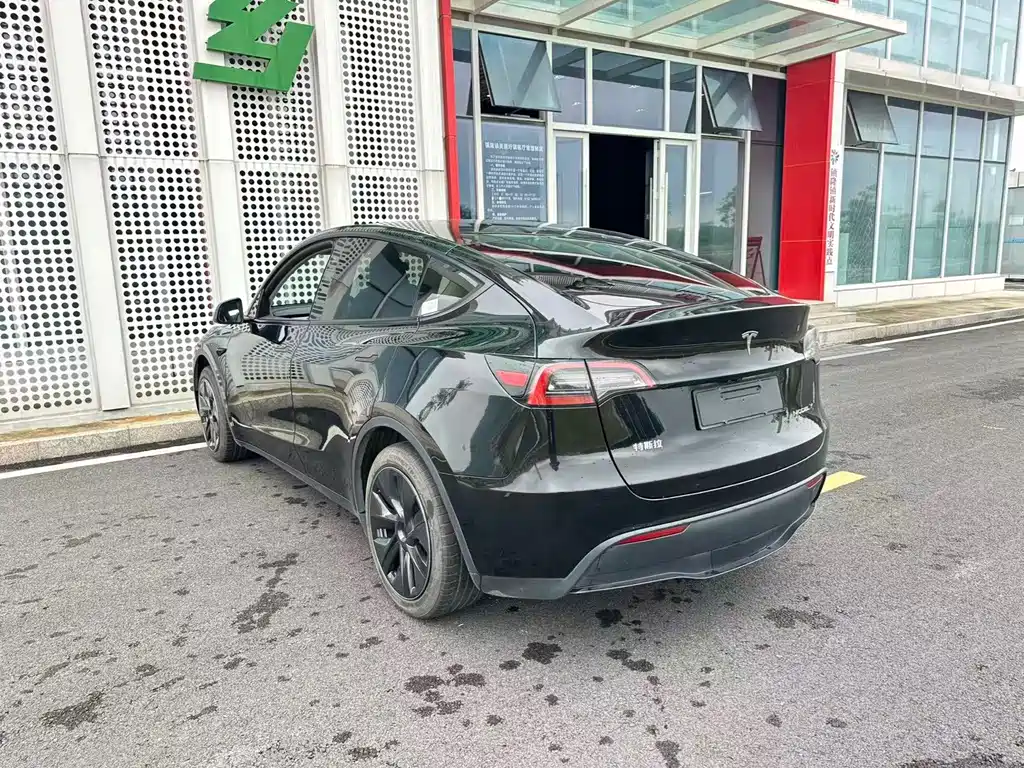 Tesla Model Y — миниатюра 26
