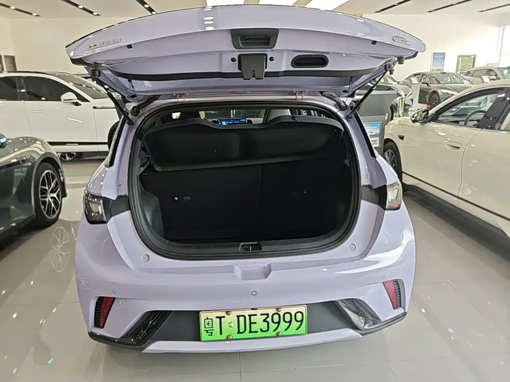 BYD Dolphin — миниатюра 19