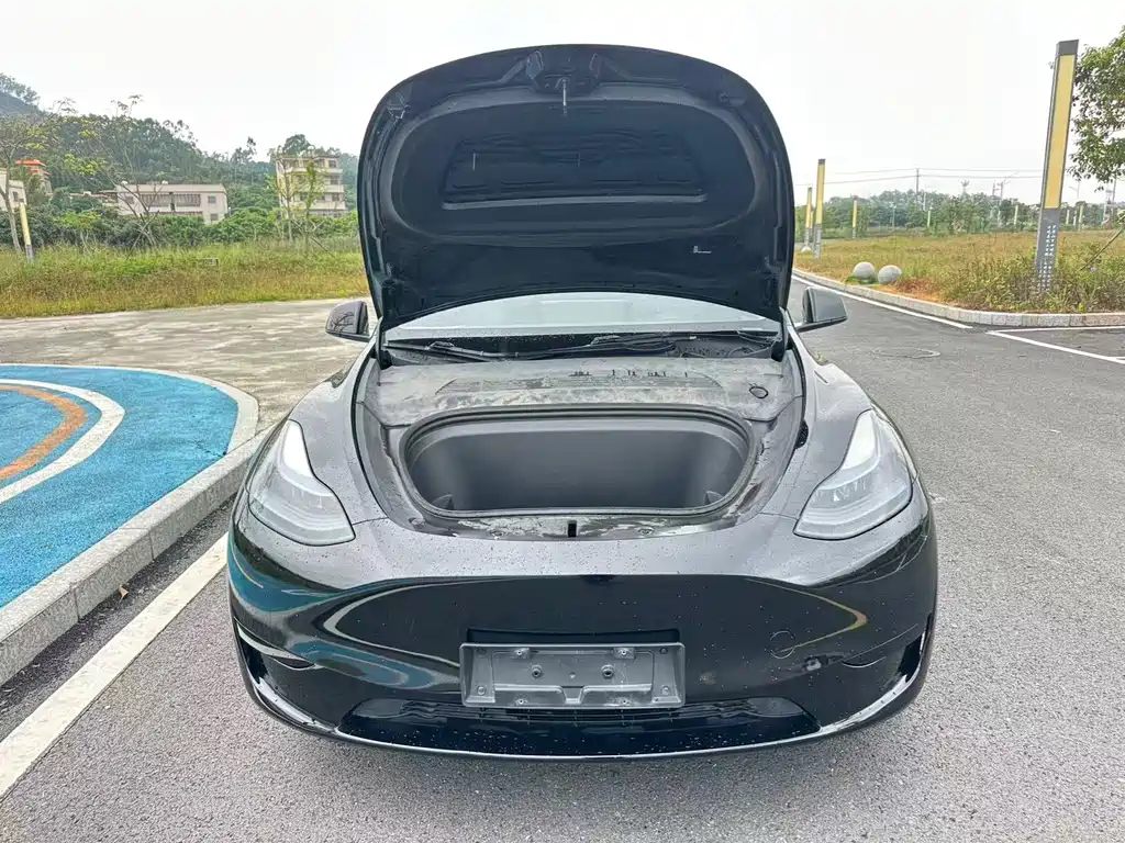 Tesla Model Y — миниатюра 18
