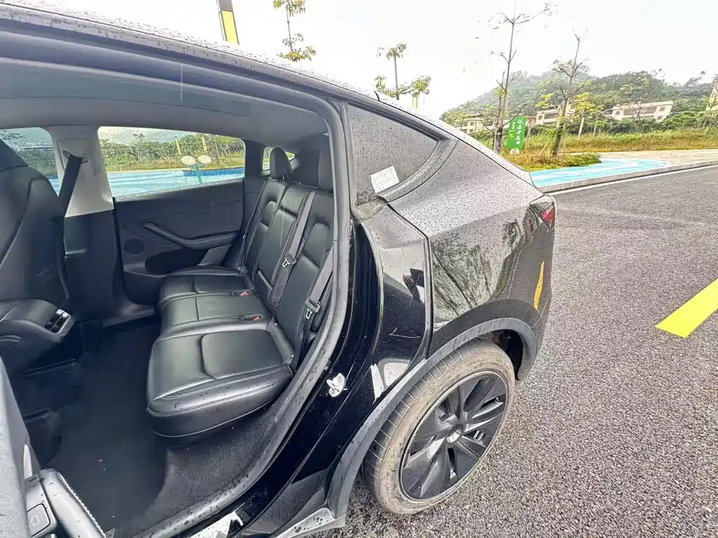 Tesla Model Y — миниатюра 8