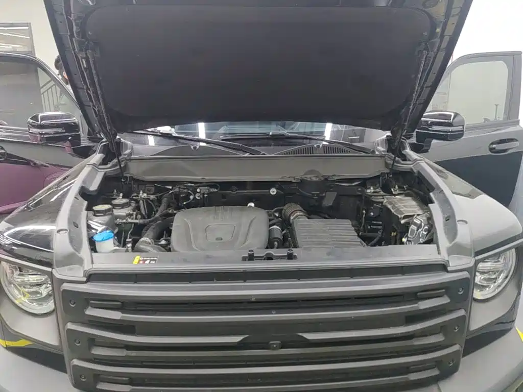 Haval Menglong New Energy — миниатюра 20