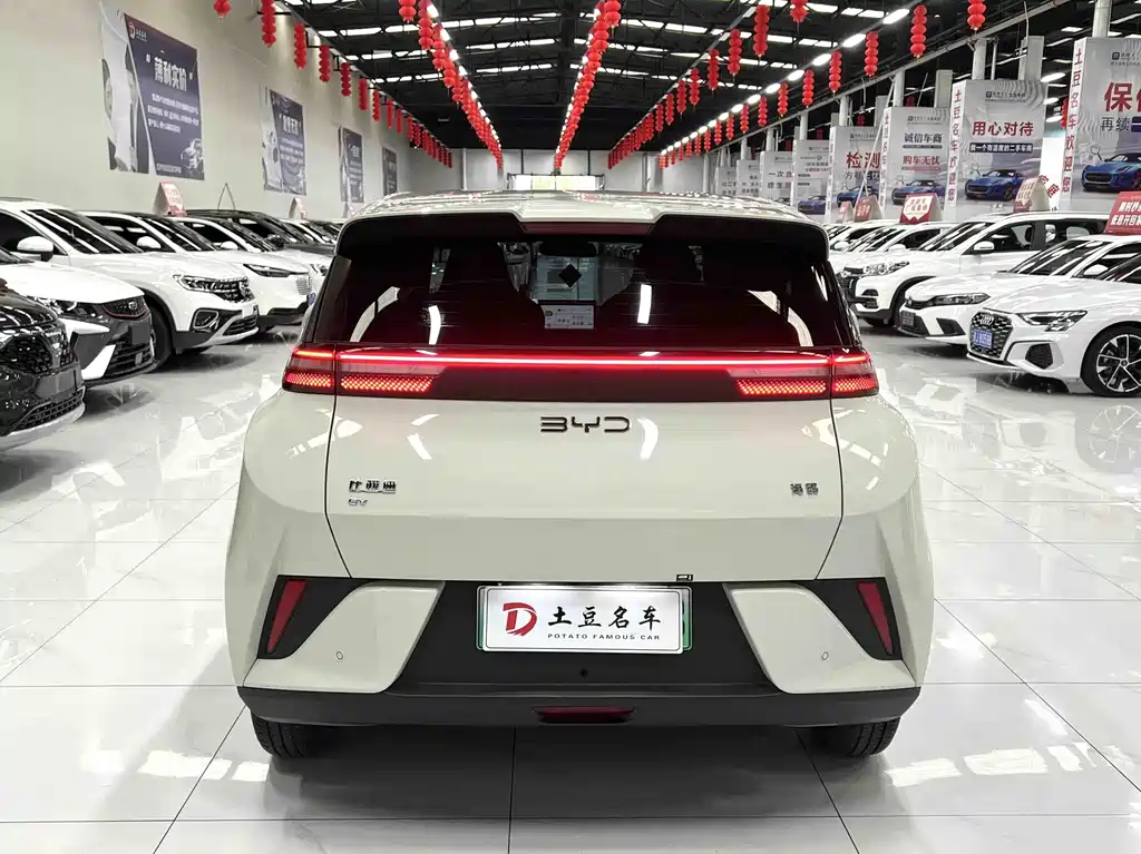 BYD Seagull 2025 305km