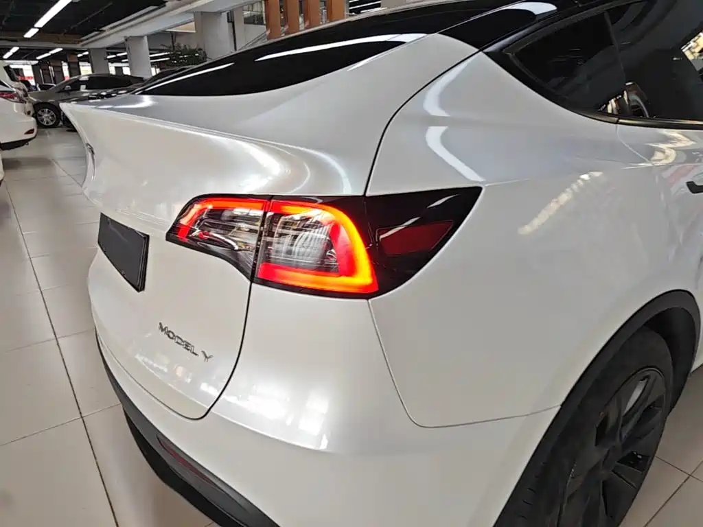 Tesla Model Y — миниатюра 8