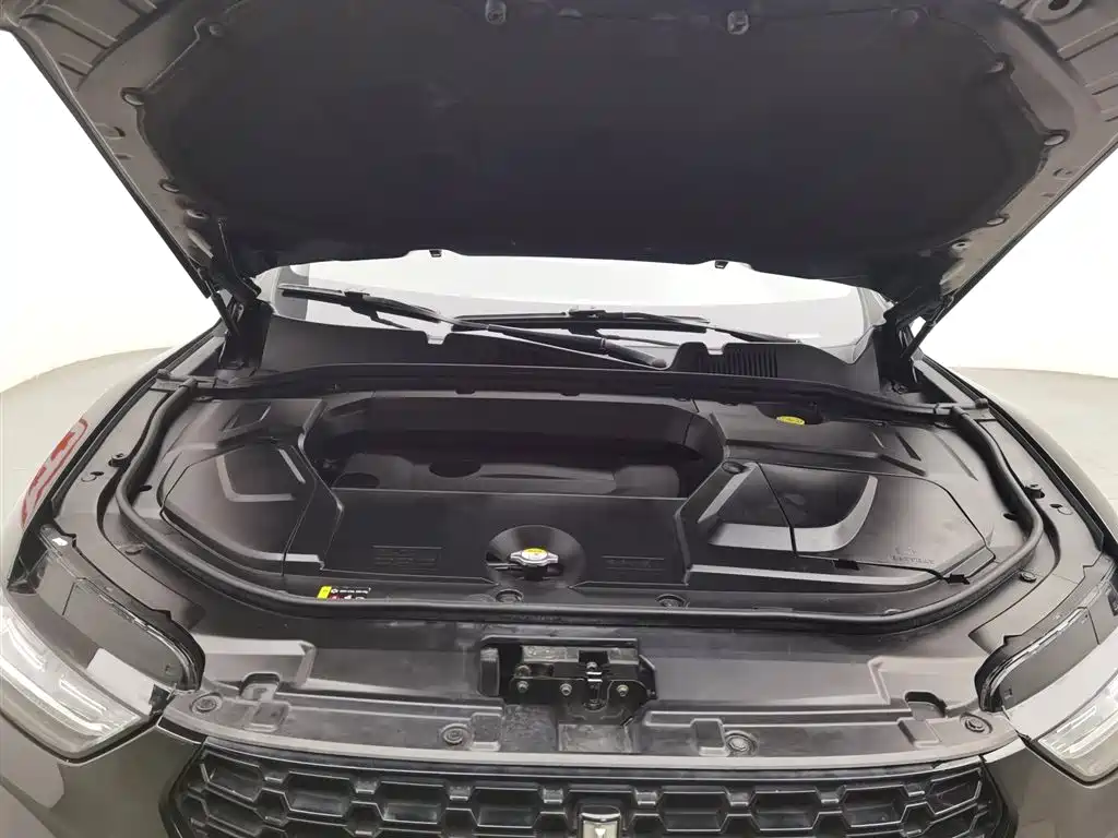 WEI PAI WEI BRAND VV5