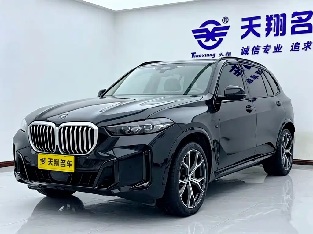 BMW X5 — миниатюра 2