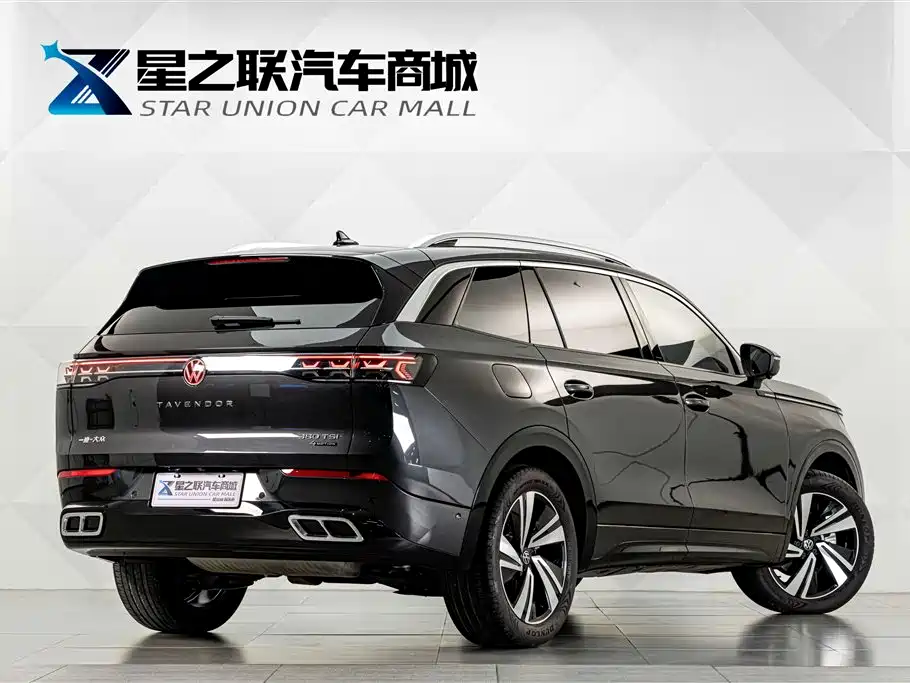Volkswagen Tavendor — миниатюра 6