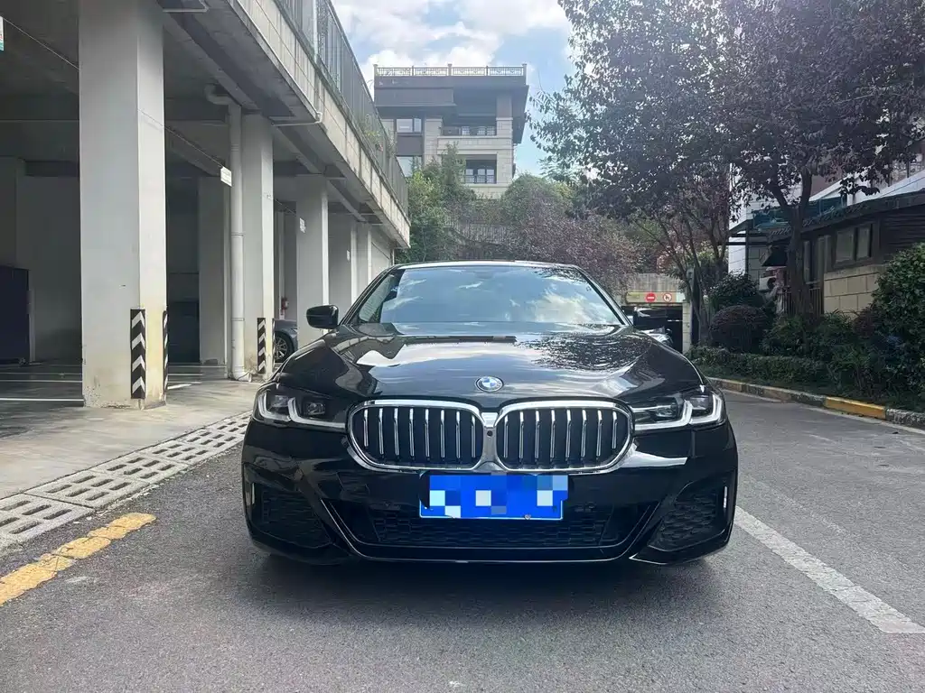 BMW 5 Series — миниатюра 2