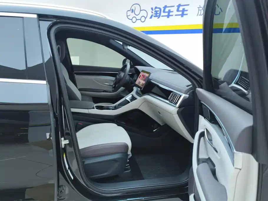 BYD PLUS New Energy — миниатюра 8